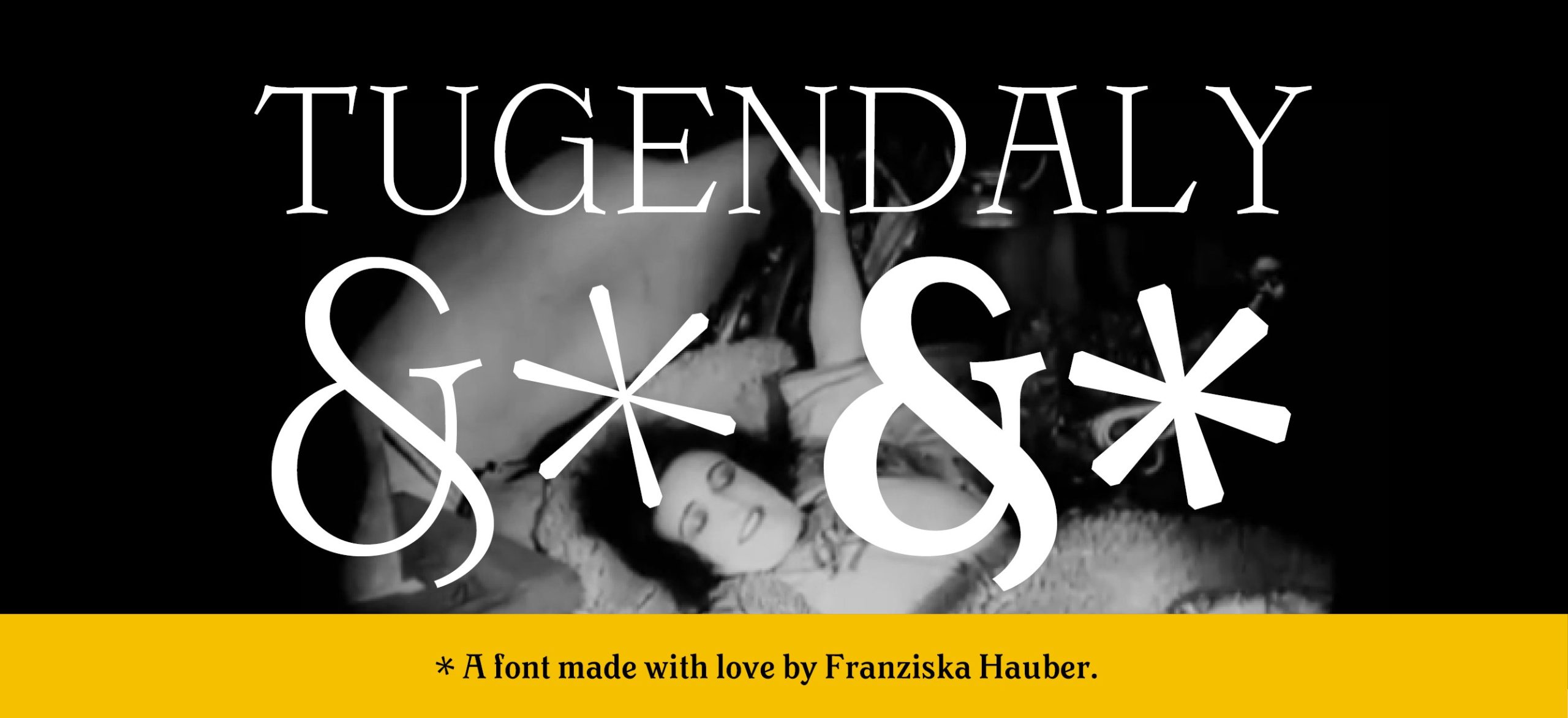 tugendaly-dokumentation-website-2